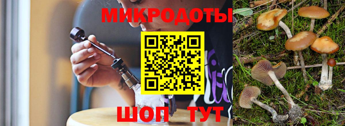 Шатура  Галлюциногенные грибы MAGIC MUSHROOMS  Вход с VPN 